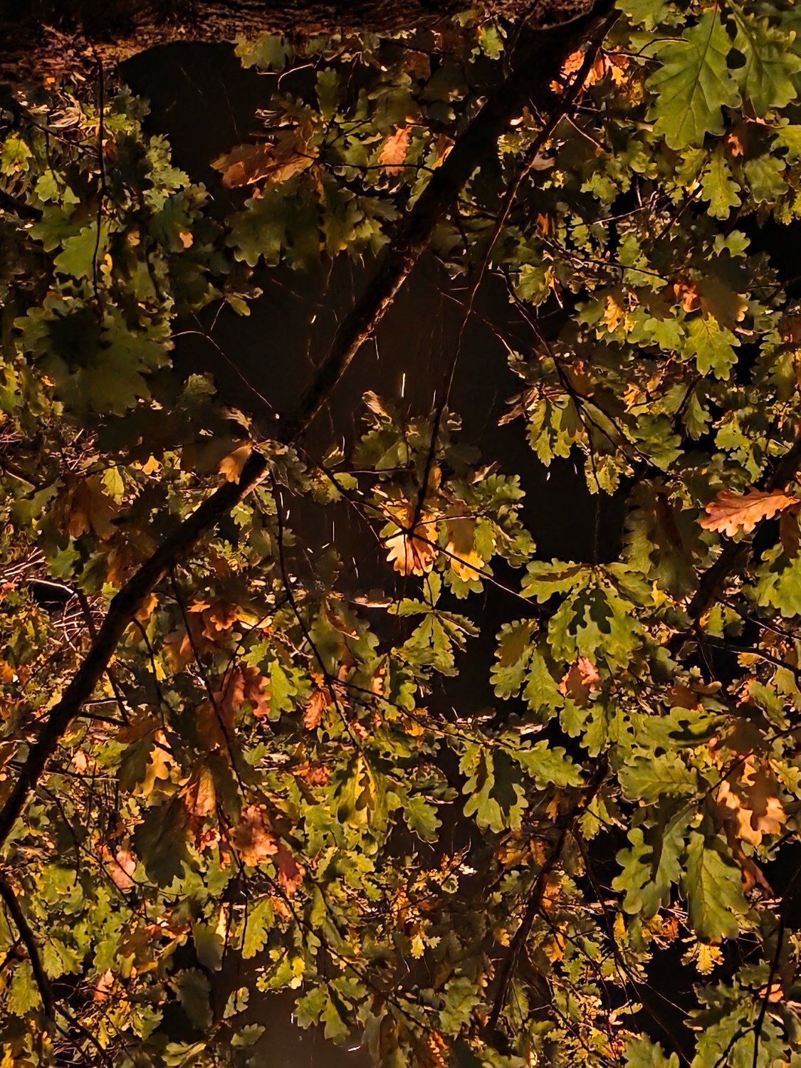 20250517_185034 20250517_185034